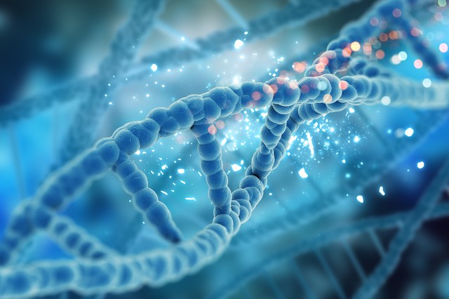 Explanation Of How Stem Cell Treatment Aids Tissue Regeneration